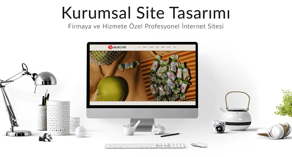 web tasarım projesi
