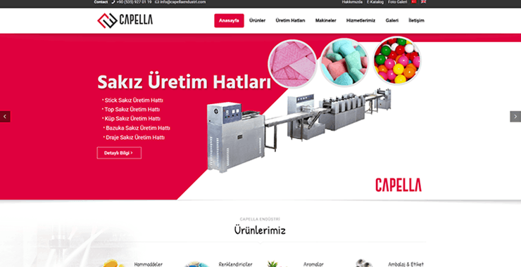 Web tasarım proje örneği