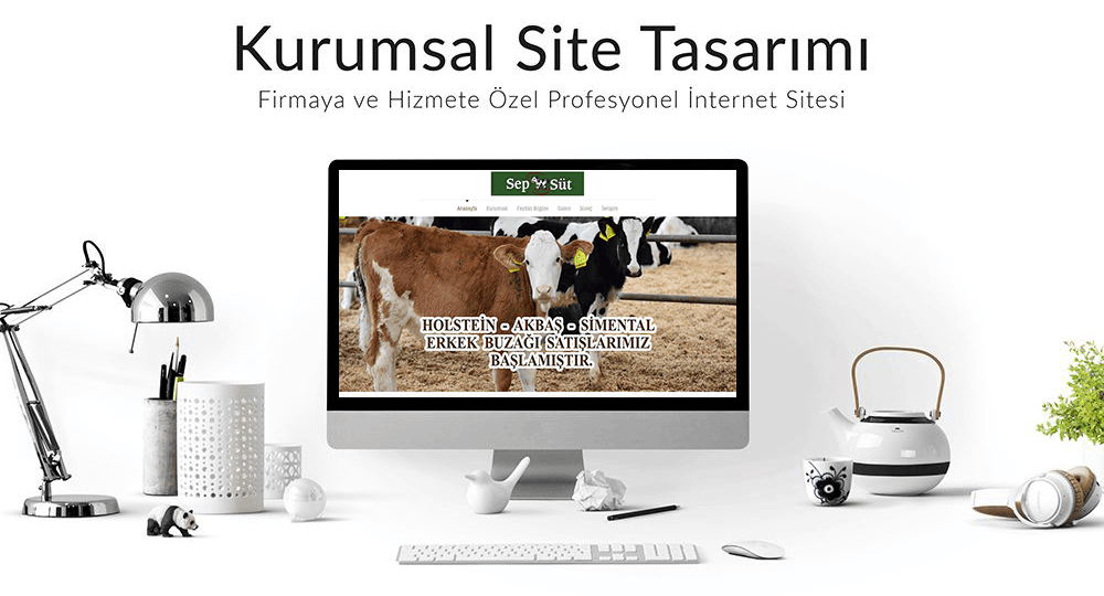 web tasarım projesi