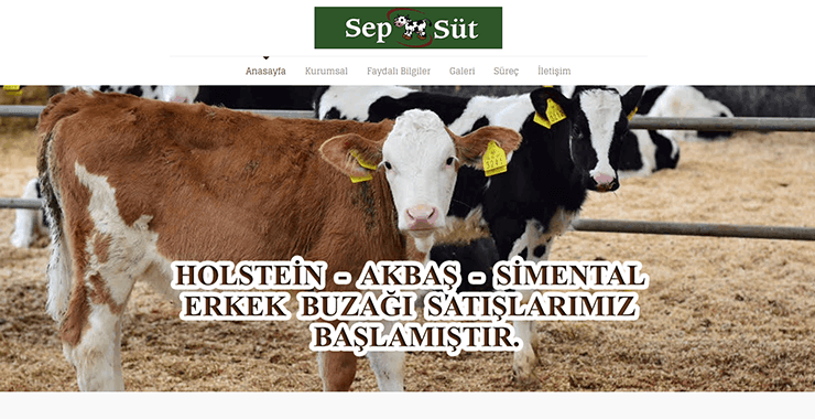 Web tasarım proje örneği